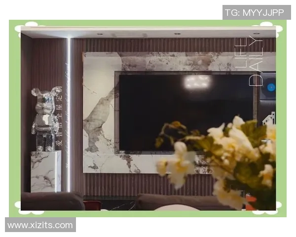 奢石背景墙与巴西足球传奇的完美融合展现独特艺术气息