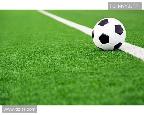 珍藏版足球巨星精美套图全景展现赛场激情与荣耀瞬间 珍藏版足球巨星精美套图全景展现赛场激情与荣耀瞬间