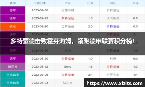 多特蒙德击败霍芬海姆，领跑德甲联赛积分榜！